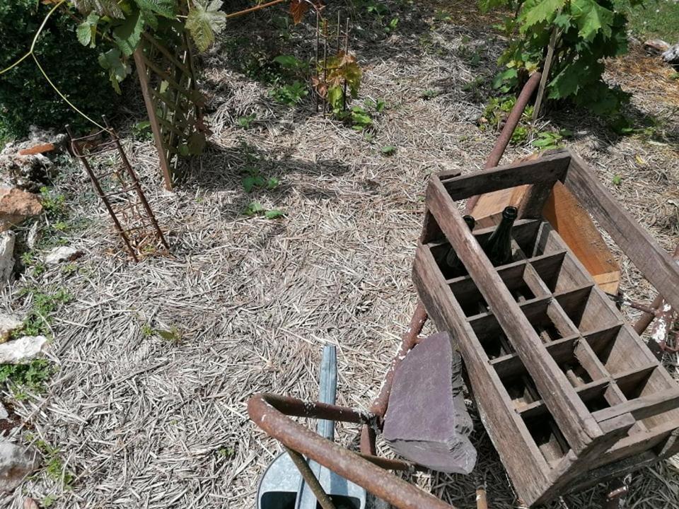 Hotellerie Jardiniers Gourmands Morsains Kültér fotó